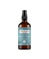 Antipodes' Ananda Antioxidant Lotion Organic toner