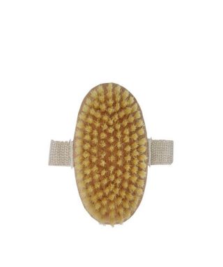 Dry brush for the body
