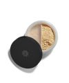 Lily Lolo Foundation Butterscotch Pack