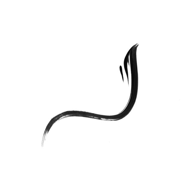 Eye liner naturel longue tenue noir 100% Pure Texture