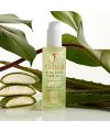 Gel cheveux naturel Aloe vera Rahua Ingrédients