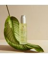 Gel cheveux naturel Aloe vera Rahua Packaging