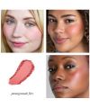 Blush naturel ReDimension Hydra Powder Pomegranate Fizz RMS Beauty Mannequin