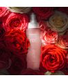 Nini Organics' Rosé face mist Face tonic lotion Cosmetic