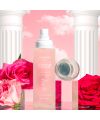 Nini Organics' Rosé face mist Face tonic lotion Pack