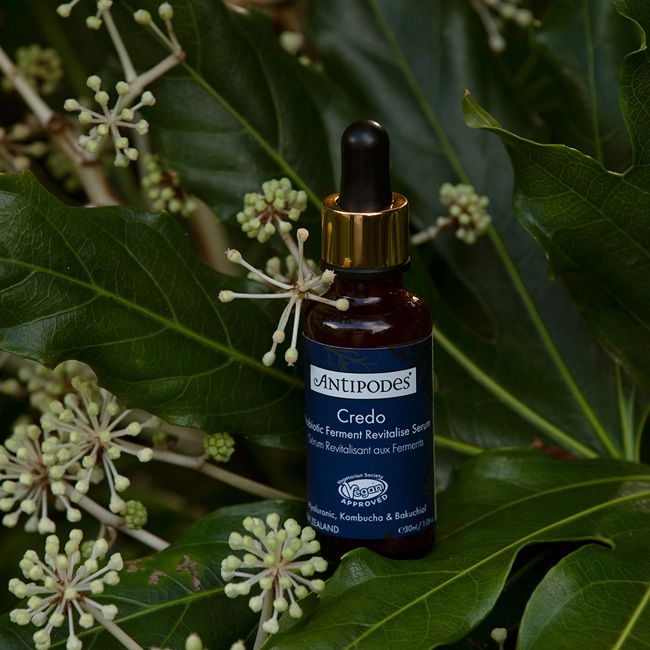 Antipodes' Credo Probiotics Revitalising Natural face serum Lifestyle