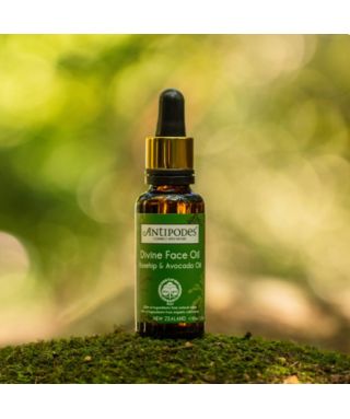 Divine Face Oil - 30 ml
