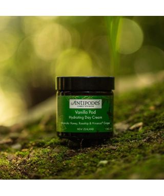 Vanilla Pod Nourishing Cream - 60ml Vanilla Pod Nourishing Cream - 60ml