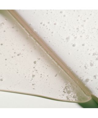 Gel douche hydratant Wild Woods - 500 ml