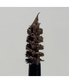 Madara's Grow & Fix Tinted Brow gel Ash Brown Texture