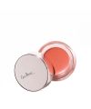 Ere Perez's Carrot Colour Pot Harmony Organic tinted balm