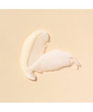 Crème hydratante au Moringa - 50ml