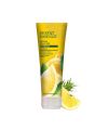 Desert Essence natural organic purifying shampoo with Tea Tree Lemon pack beauté