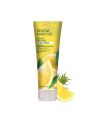Desert Essence Purifying Organic Conditioner with Tea Tree Lemon pack