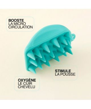 Brosse Scalp