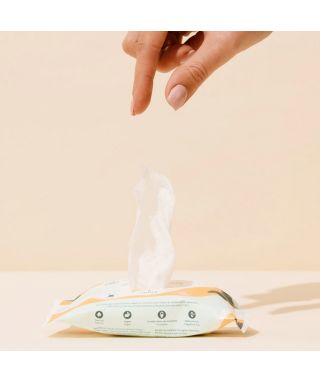 Refreshing intimate wipes x 14