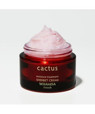 Cactus Sherbet Cream - 45 ml Cactus Sherbet Cream - 45 ml