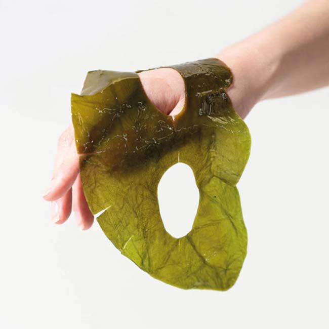 Whamisa' soothing moisturizing Kelp Algae Mask texture lifestyle