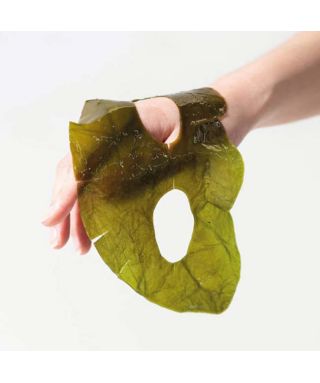 Moisturizing Kelp Algae Mask