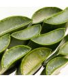 Ere Perez's Aloe Vera Gel Natural mascara ingredients