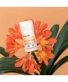 Deodorant bio roll-on douceur florale Acorelle pack