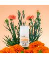 Deodorant bio roll-on douceur florale Acorelle lifestyle