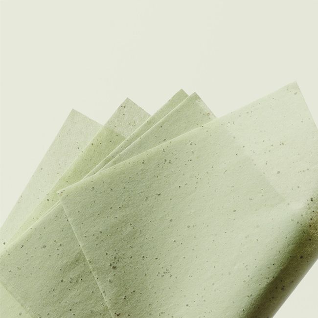 Ere Perez' Green Tea Oil Control Mattifying Paper texture