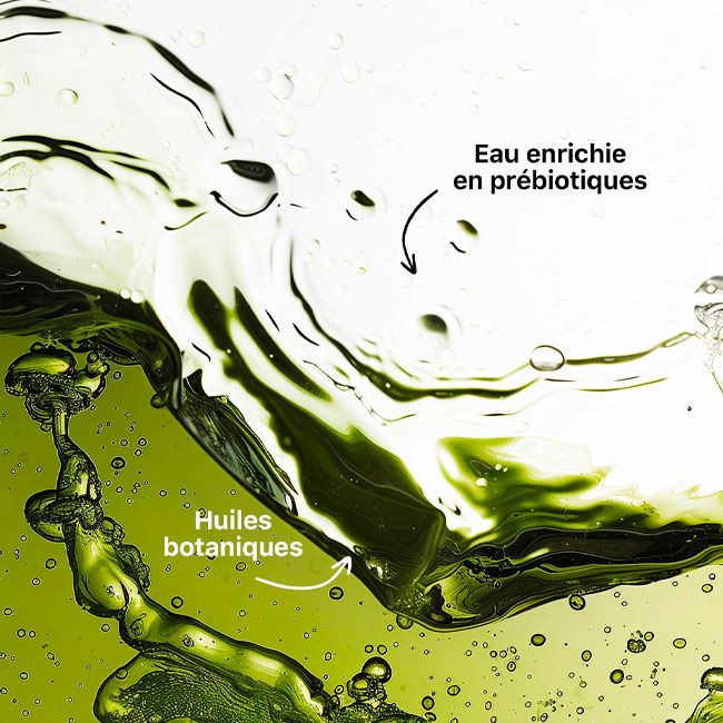 Bain de bouche bio Pure Breathe The Smilist ingrédients