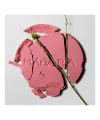 Mineral Blush Magnetic Blush Cold Cheeks Madara Cosmetics Shooting
