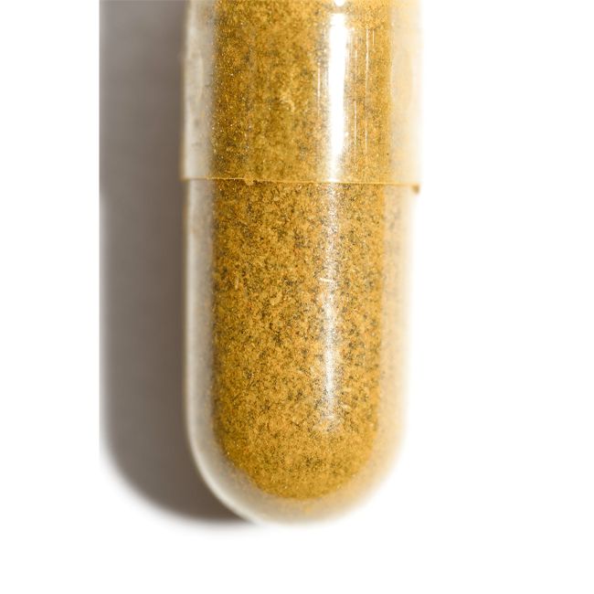Complément alimentaire probiotique Go For Detox Demain Beauty Beauté