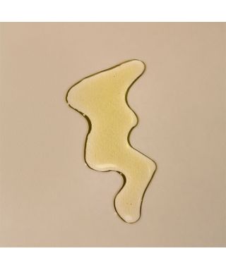 Huile de prune biologique française - 30 ml