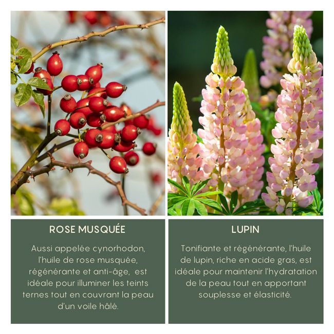 Oden's anti-aging face serum Rosehip concentrate Ingredients