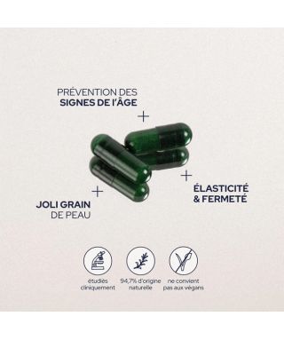 Vegetarian collagen cure