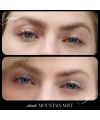 RMS Beauty's Mountain Mist Cashmere Matte Eyelights Makeup