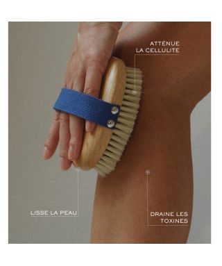 Brosse tonifiante corps