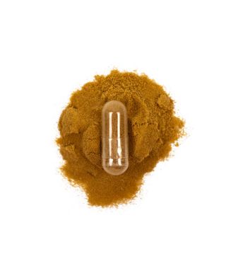 Lion's Mane's extract