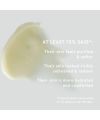 Koba Skincare's Safou Sorbet Cleansing Balm Benefits