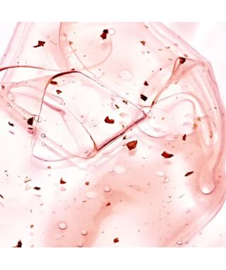 Fermented Organic Flower & Aloe Vera Mask - 33 g