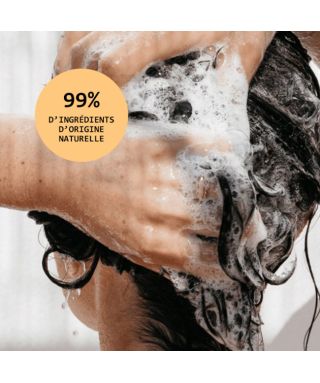 Shampoing réparateur Vegan Repair Shampoo - 290 ml