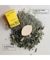 Démaquillant bio lait solide Eclo Beauty