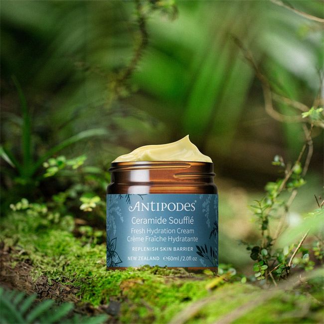 Crème hydratante naturelle fraîche Ceramide Soufflé Antipodes