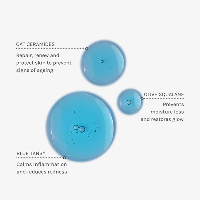 Sérum bio aux céramides Blue Velvet Evolve