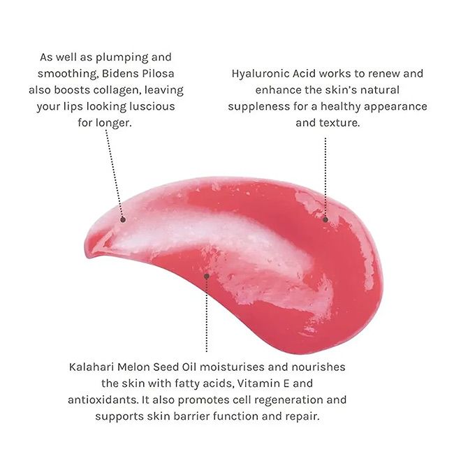 Gloss bio huile Retinol glossy Evolve Beauty