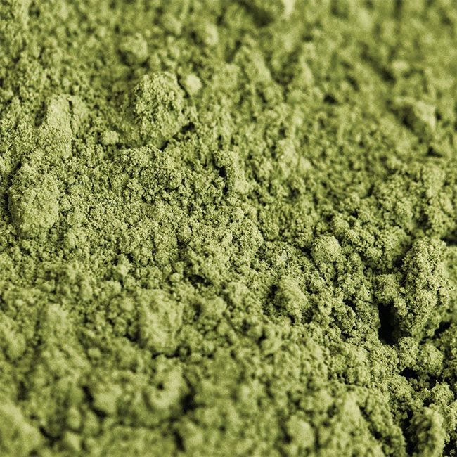 Nettoyant visage Odacité Green Ceremony Nettoyant visage Odacité Green Ceremony