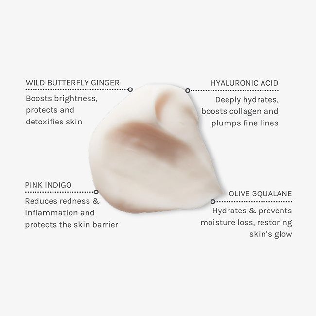 Crème visage naturelle hydratante et protectrice Hydrate & Protect Evolve Beauty Crème visage naturelle hydratante et protectrice Hydrate & Protect Evolve Beauty