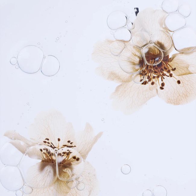 Tonique naturel essence à la fleure de poirier Whamisa