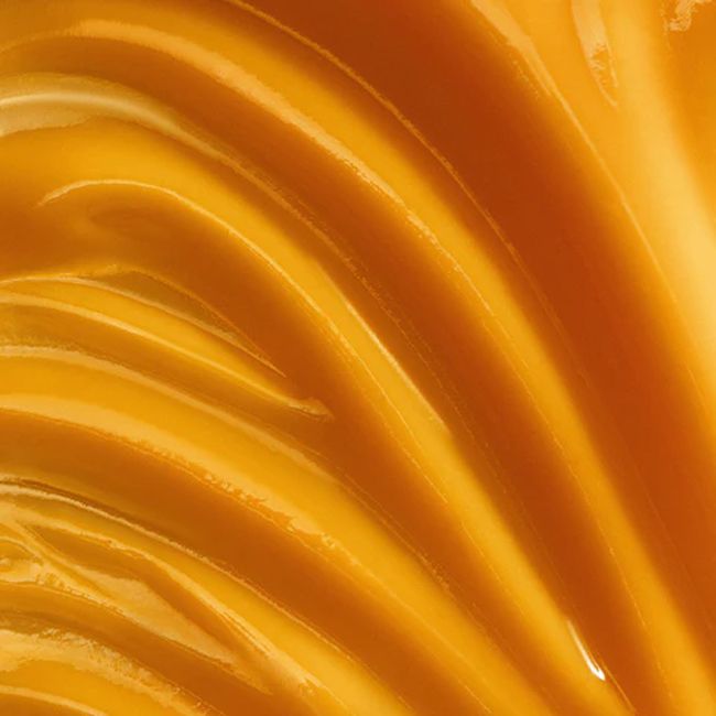 Sérum visage naturel Éclat Oden