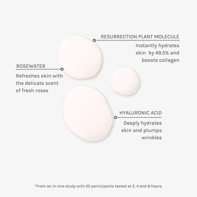 Brume hydratante anti-âge Evolve Beauty