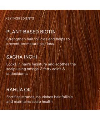 Shampoing Enchanted Island - 275 ml