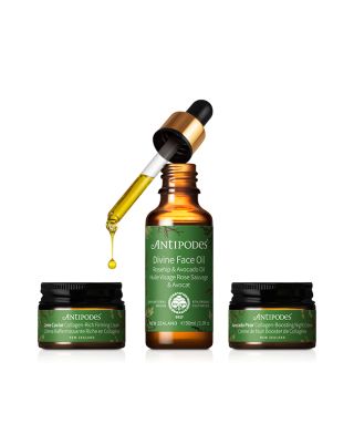 Collagen Boost Regime Gift Set